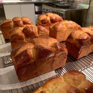 Meet your Posher, Ellen